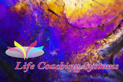 Life Coaching Systems